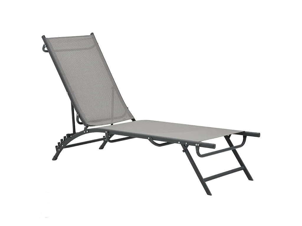 Chaises longues 2 pcs Textilène et acier