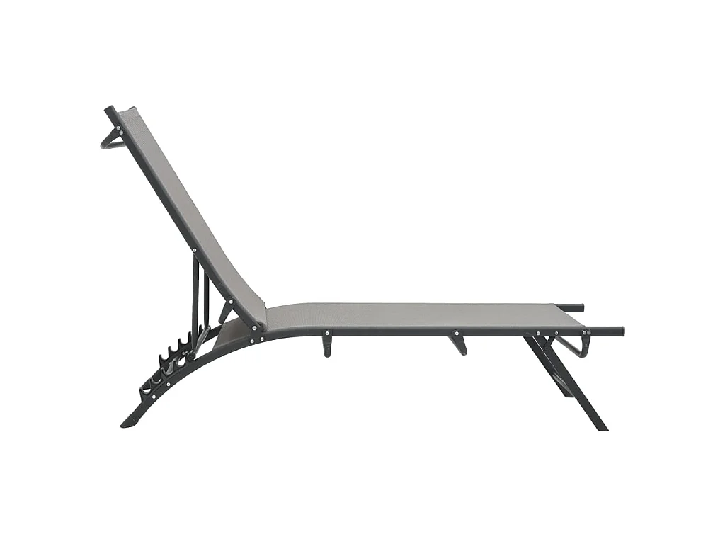 Chaises longues 2 pcs Textilène et acier