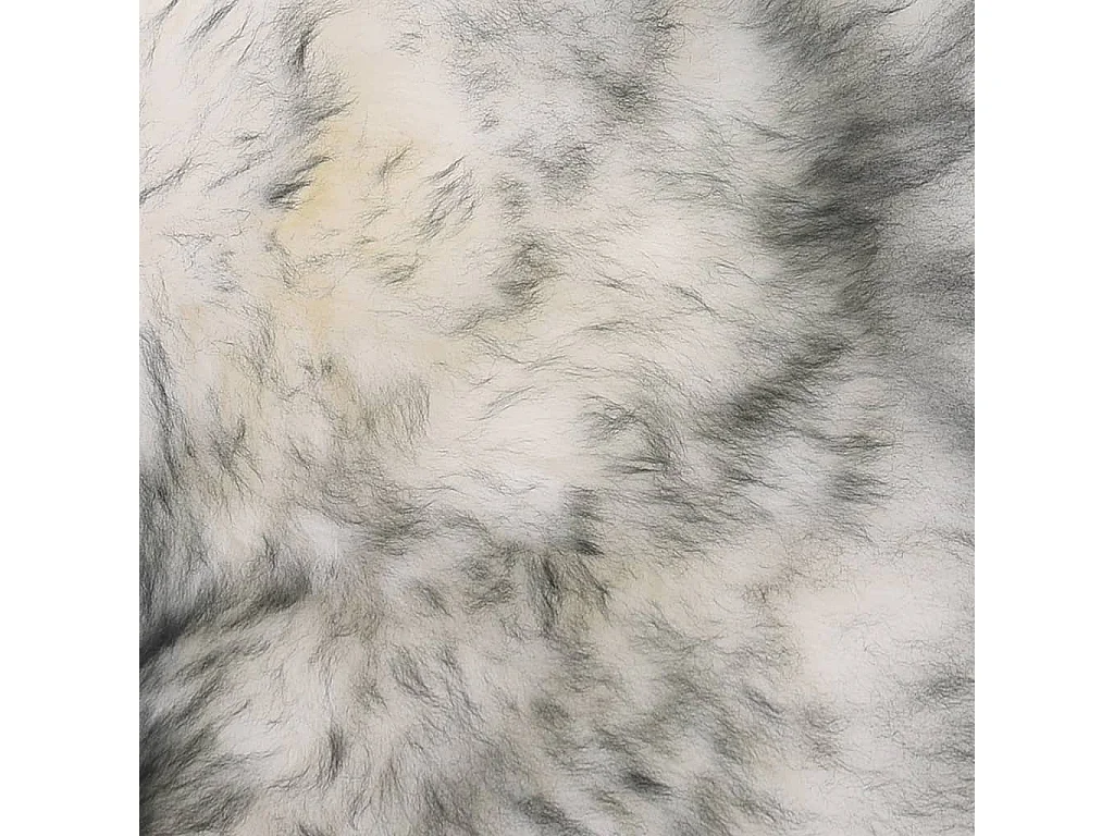 Coussins de chaise 2 pcs Mélange de gris foncé Mouton véritable