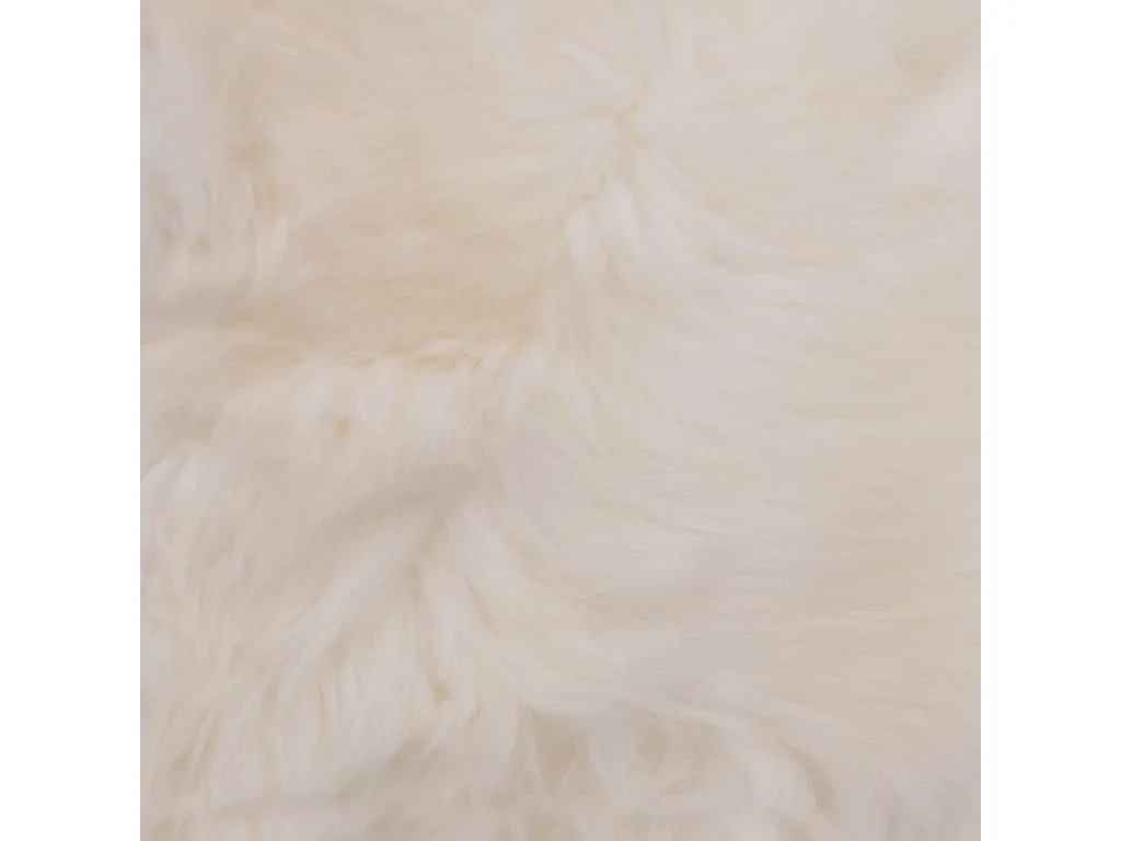 Cojines de silla 2 piezas Blanco 40x40cm Piel de oveja auténtica