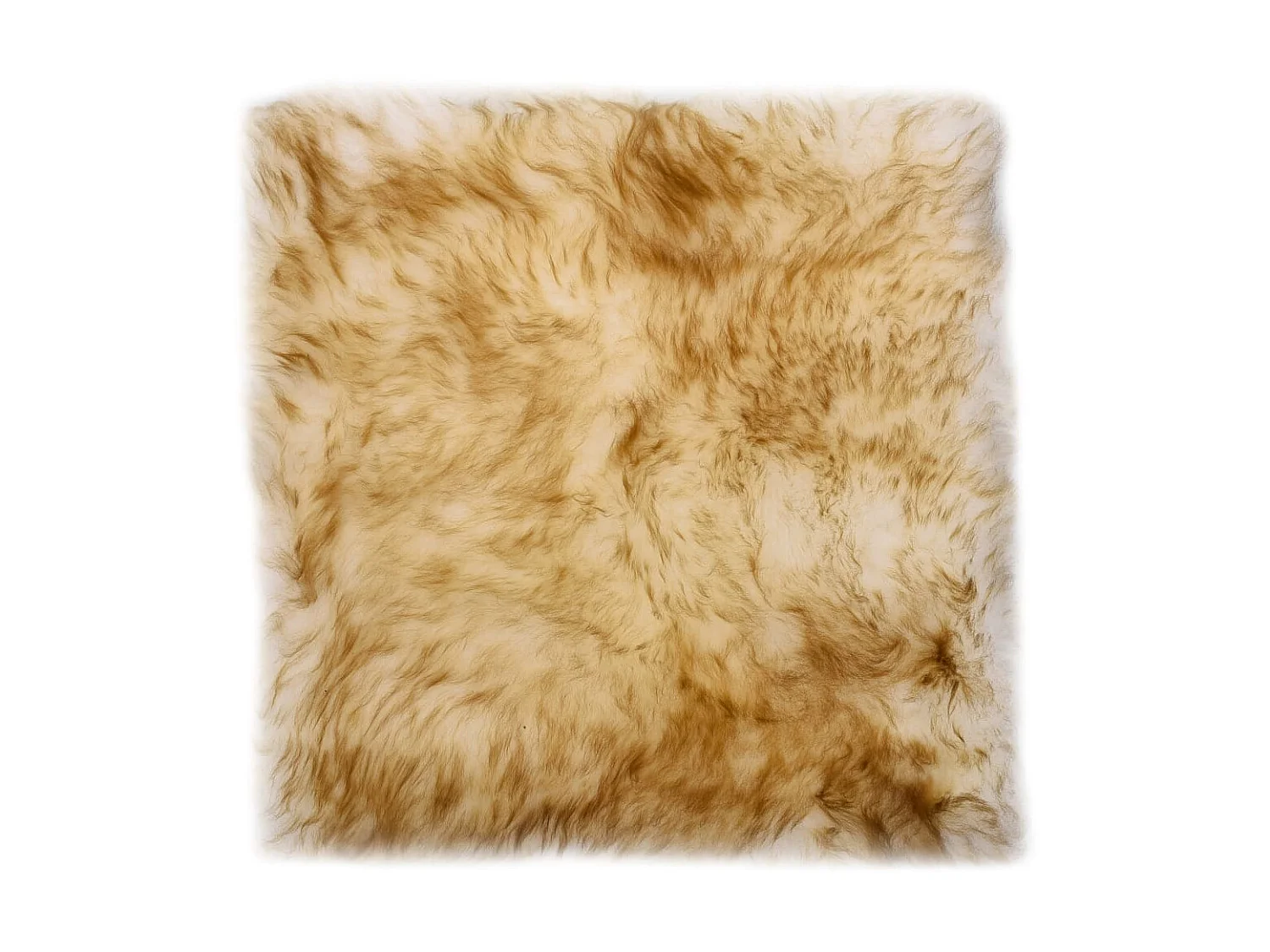 Coussins de chaise 2 pcs Mélange de marron Mouton véritable