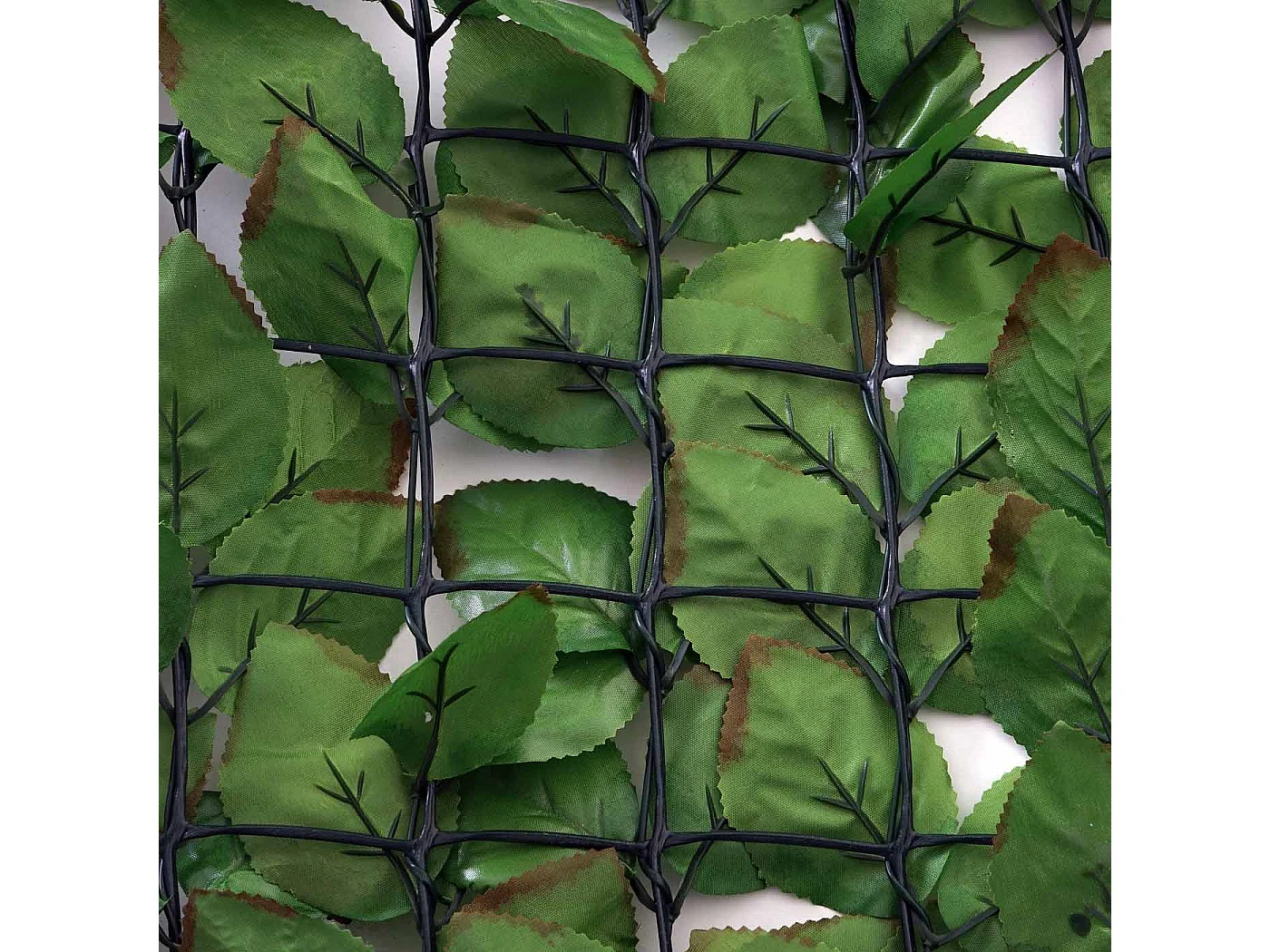 Pare-vue pour balcon T811 hêtre 500x100cm,  300x100cm clair