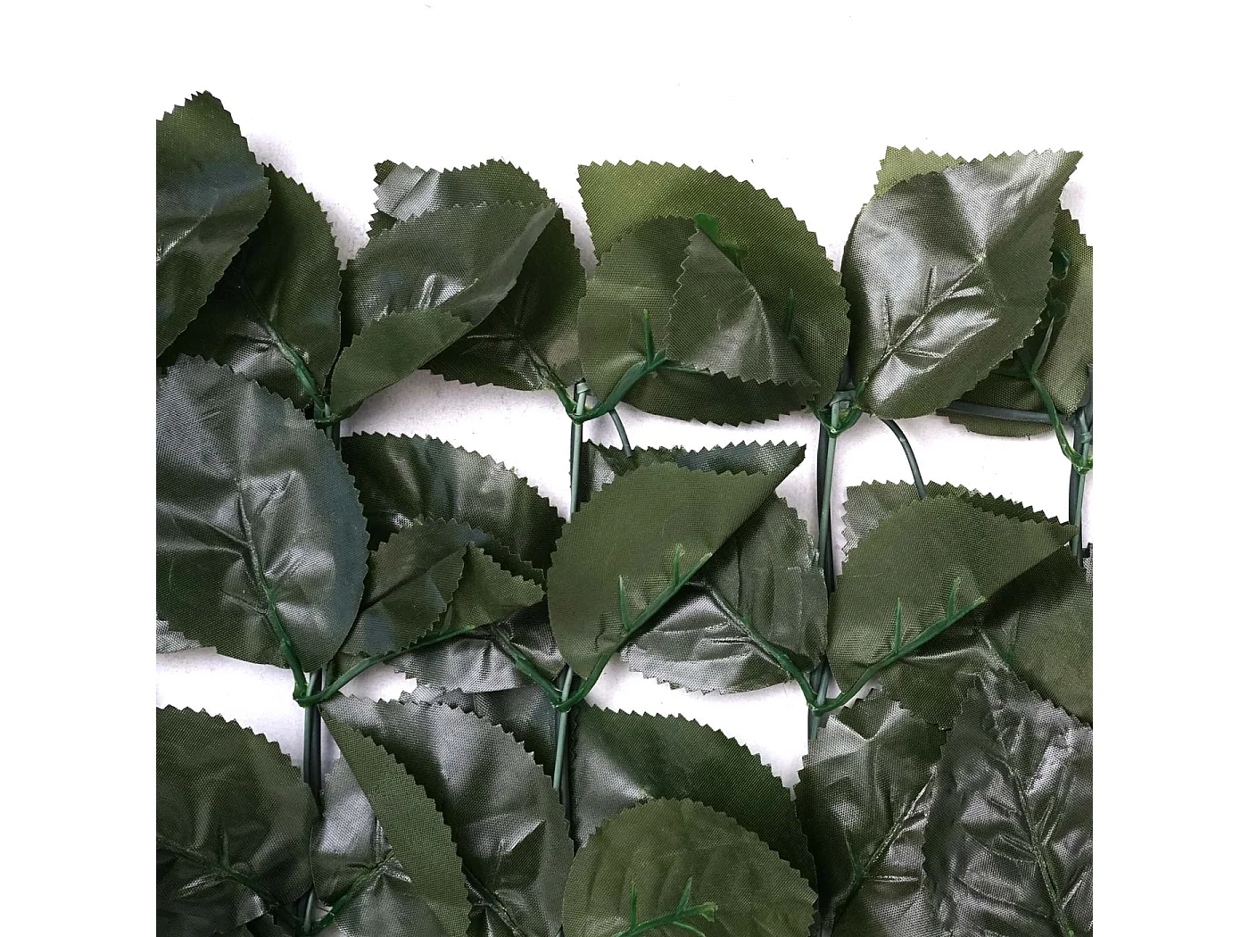 Balkonsichtschutz T811 Buche I, 300x100cm dunkel