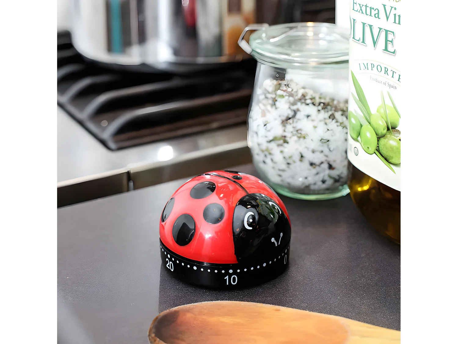 Minuteur de cuisine Coccinelle Rouge  Kikkerland