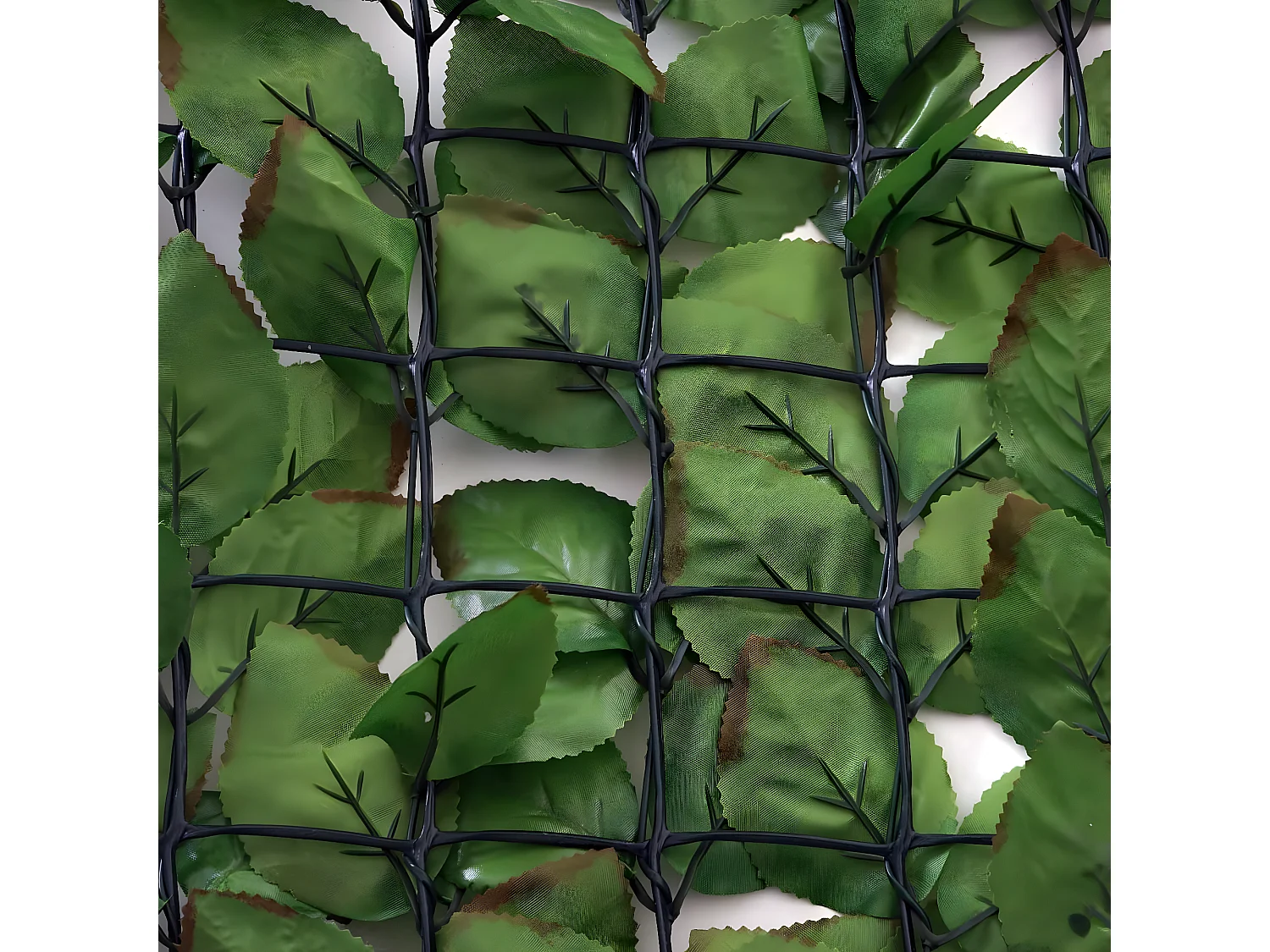 Biombo para balcones T811 haya III,  500x150cm luz