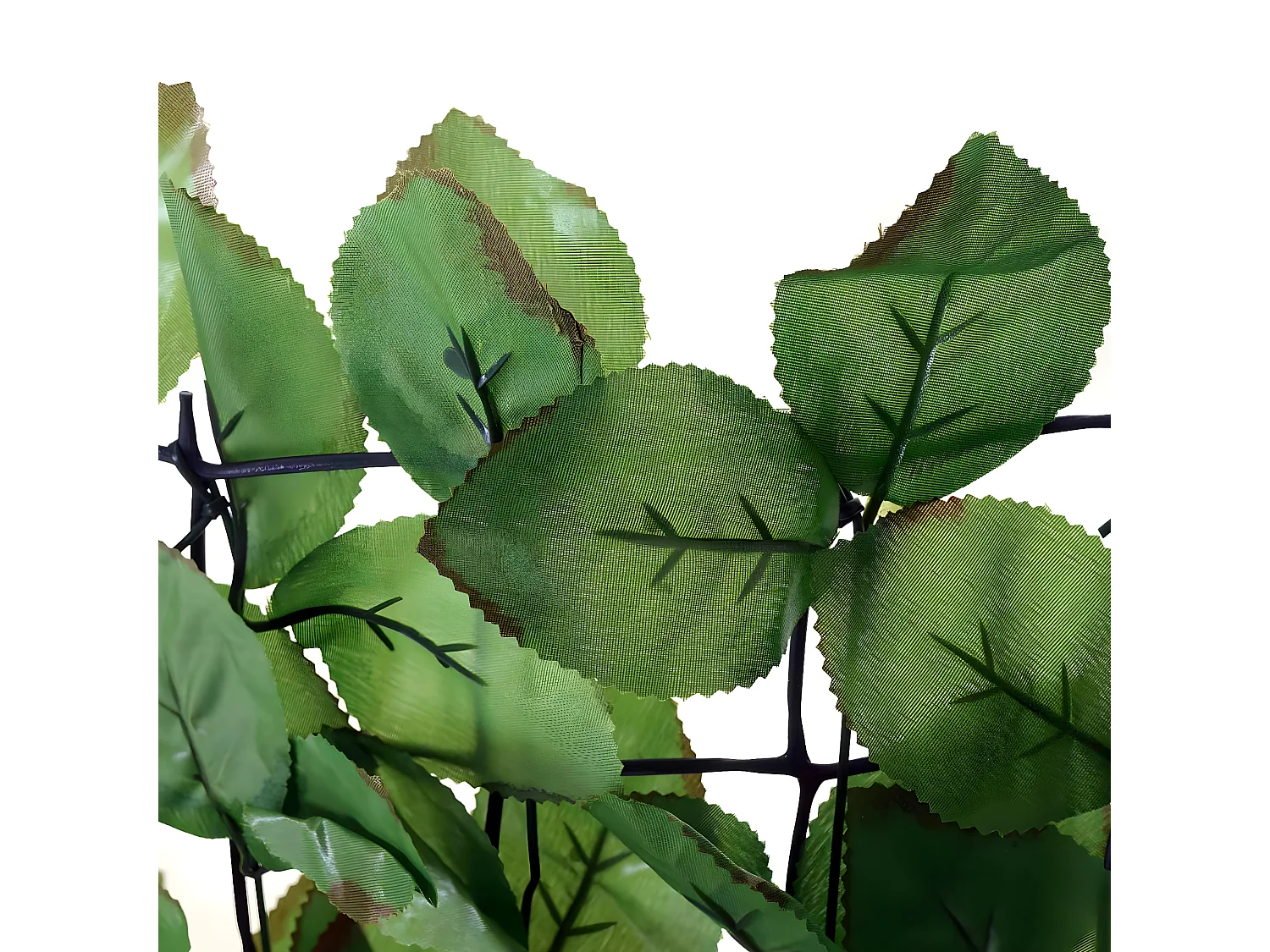 Parawan balkonowy T811 buk IV,  500x150cm światła