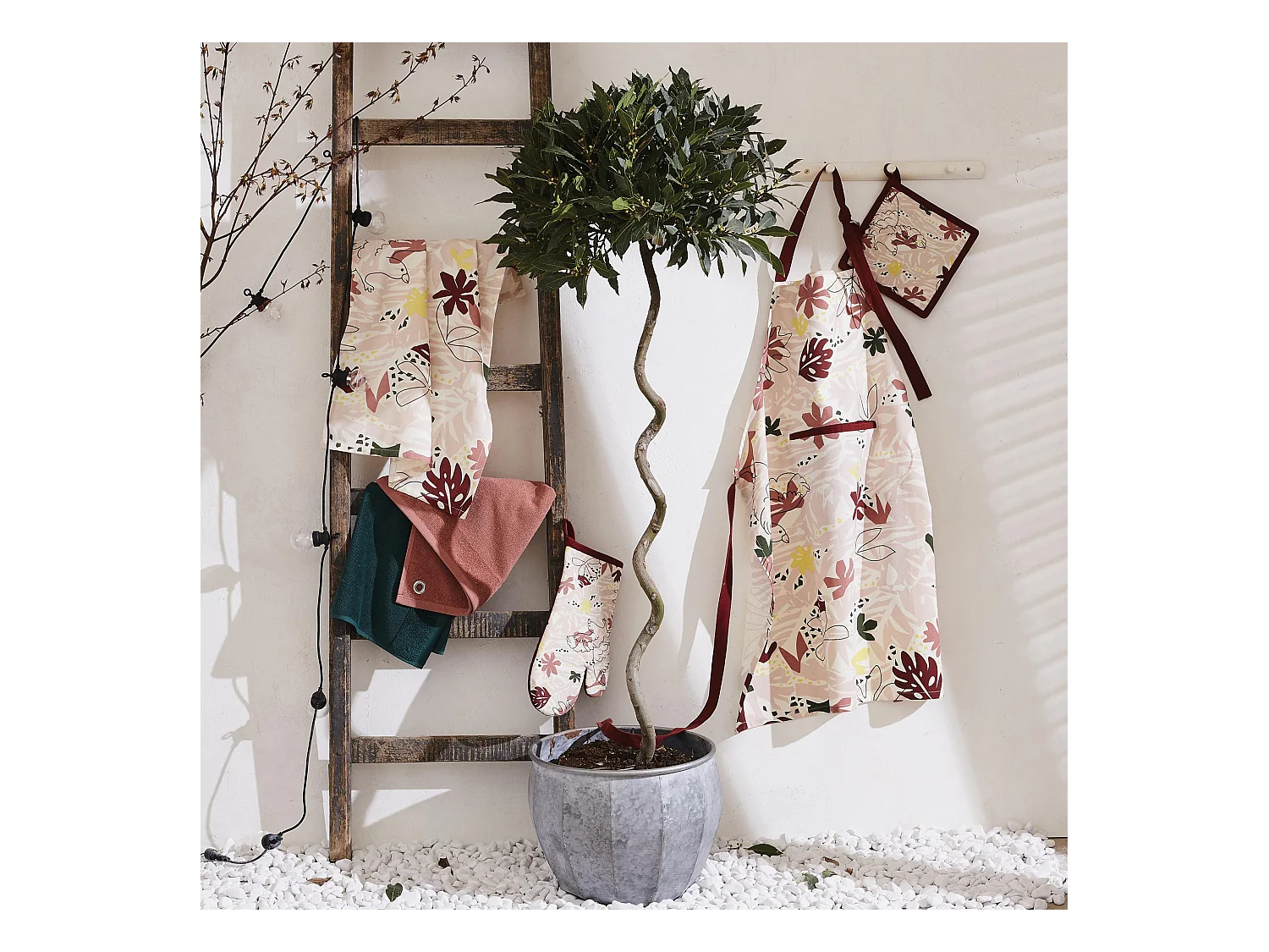 Essuie-mains oeillet Curl sapin 50 x 50 cm Winkler