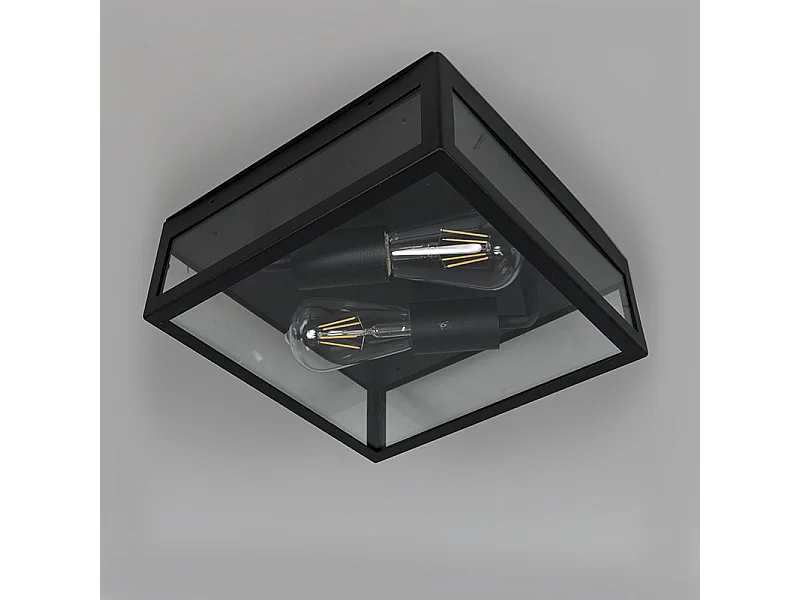 Plafonnier d'extérieur industriel noir 2 lumières - Rotterdam