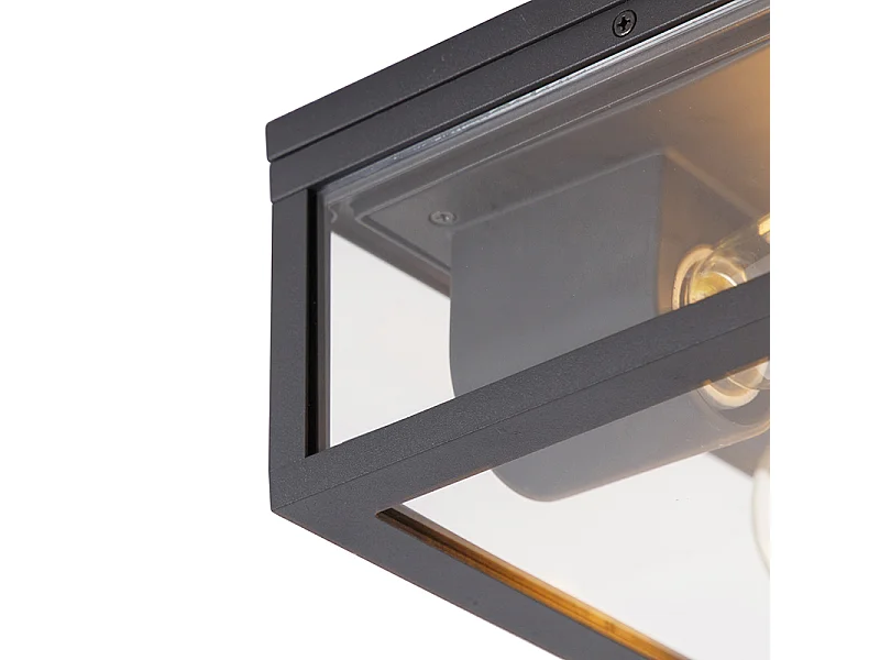 Plafonnier industriel noir IP44 2 lumières - Charlois