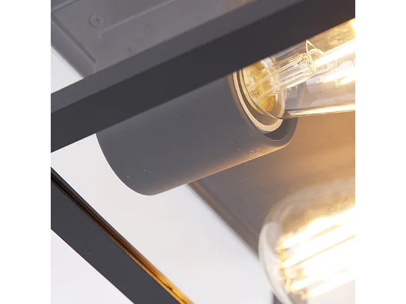 Plafonnier industriel noir IP44 2 lumières - Charlois