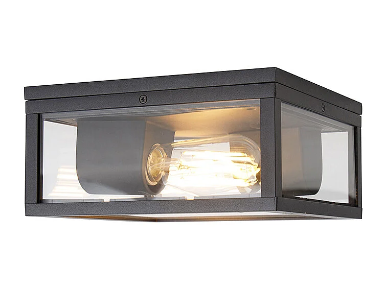 Plafonnier industriel noir IP44 2 lumières - Charlois