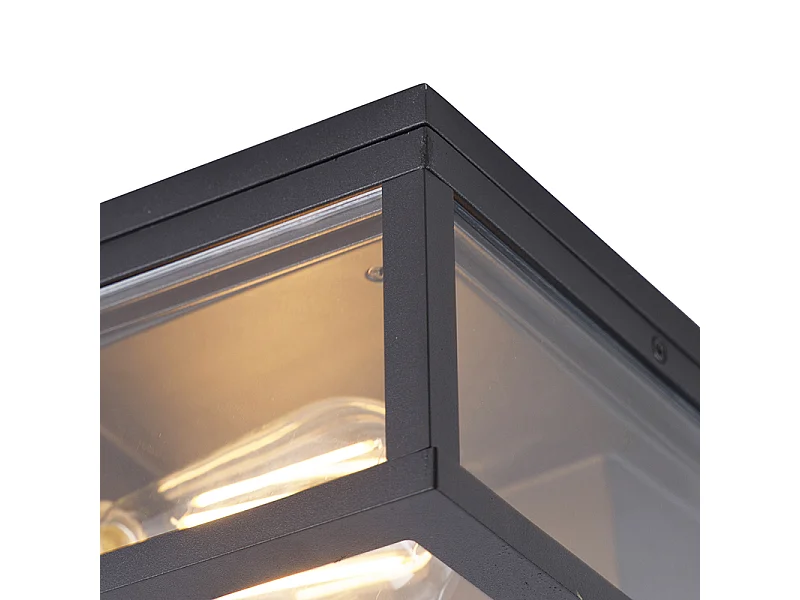 Plafonnier industriel noir IP44 2 lumières - Charlois