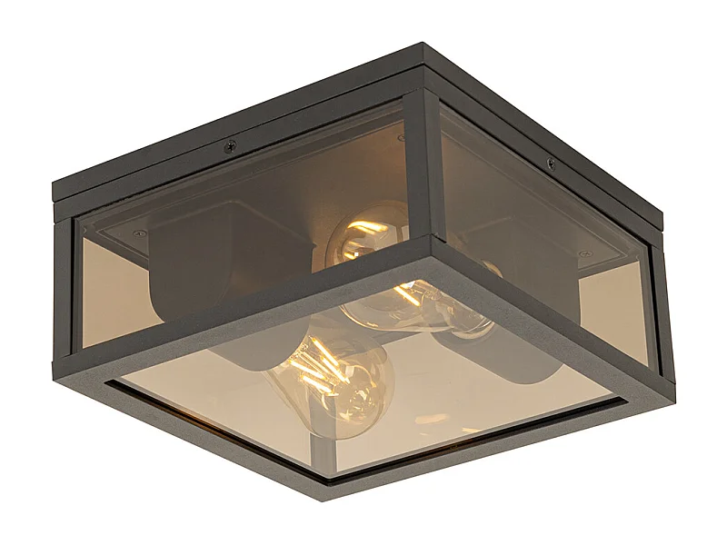 Plafonnier noir avec verre fumé 2 lumières IP44 - Charlois