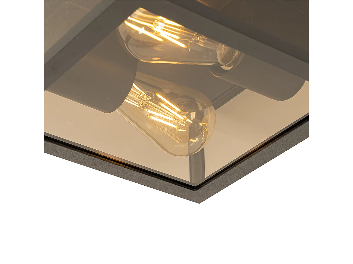 Plafonnier noir avec verre fumé 2 lumières IP44 - Charlois