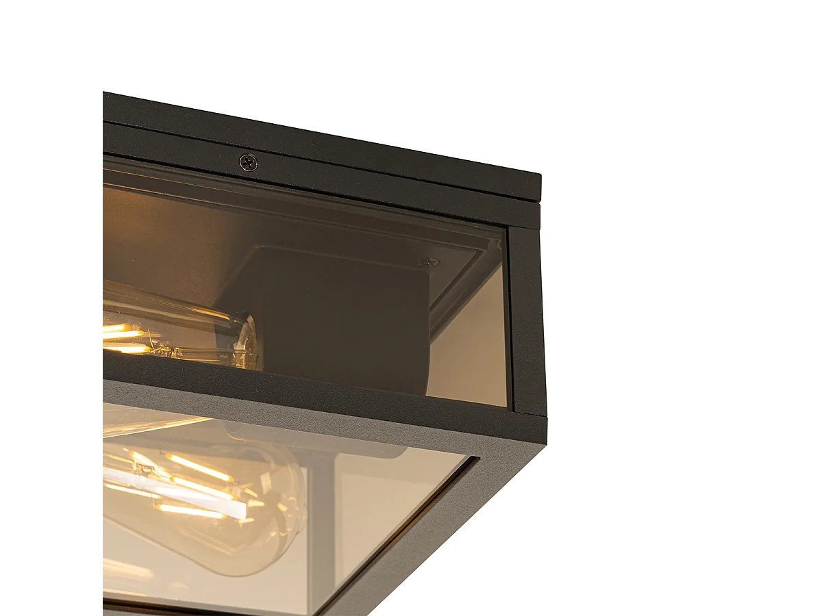 Plafonnier noir avec verre fumé 2 lumières IP44 - Charlois