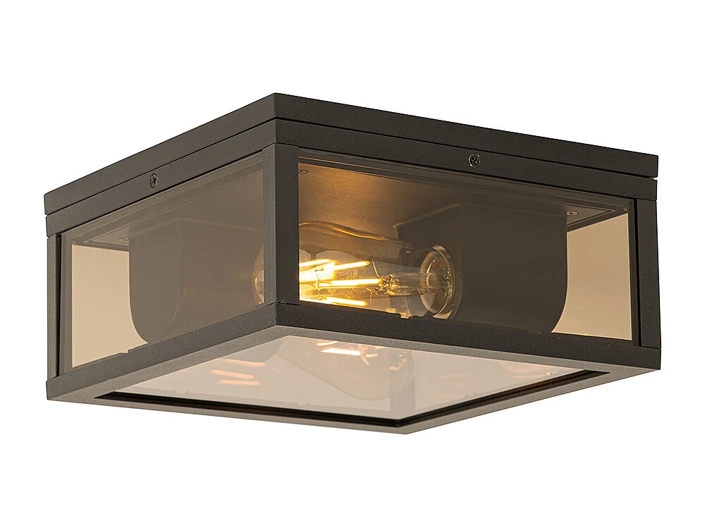 Plafonnier noir avec verre fumé 2 lumières IP44 - Charlois