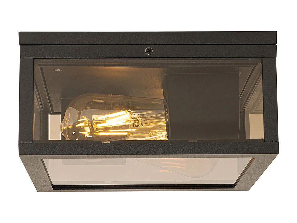 Plafonnier noir avec verre fumé 2 lumières IP44 - Charlois