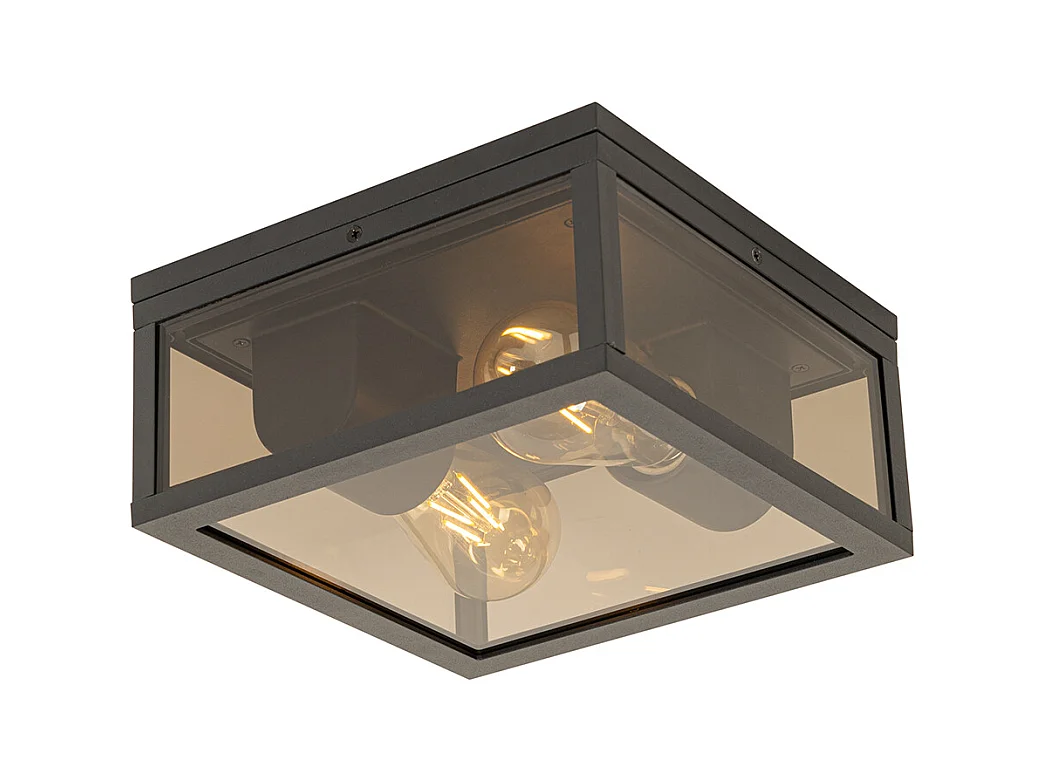 Plafonnier noir avec verre fumé 2 lumières IP44 - Charlois