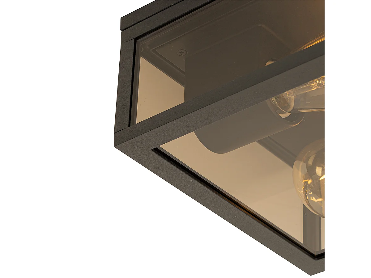 Plafonnier noir avec verre fumé 2 lumières IP44 - Charlois