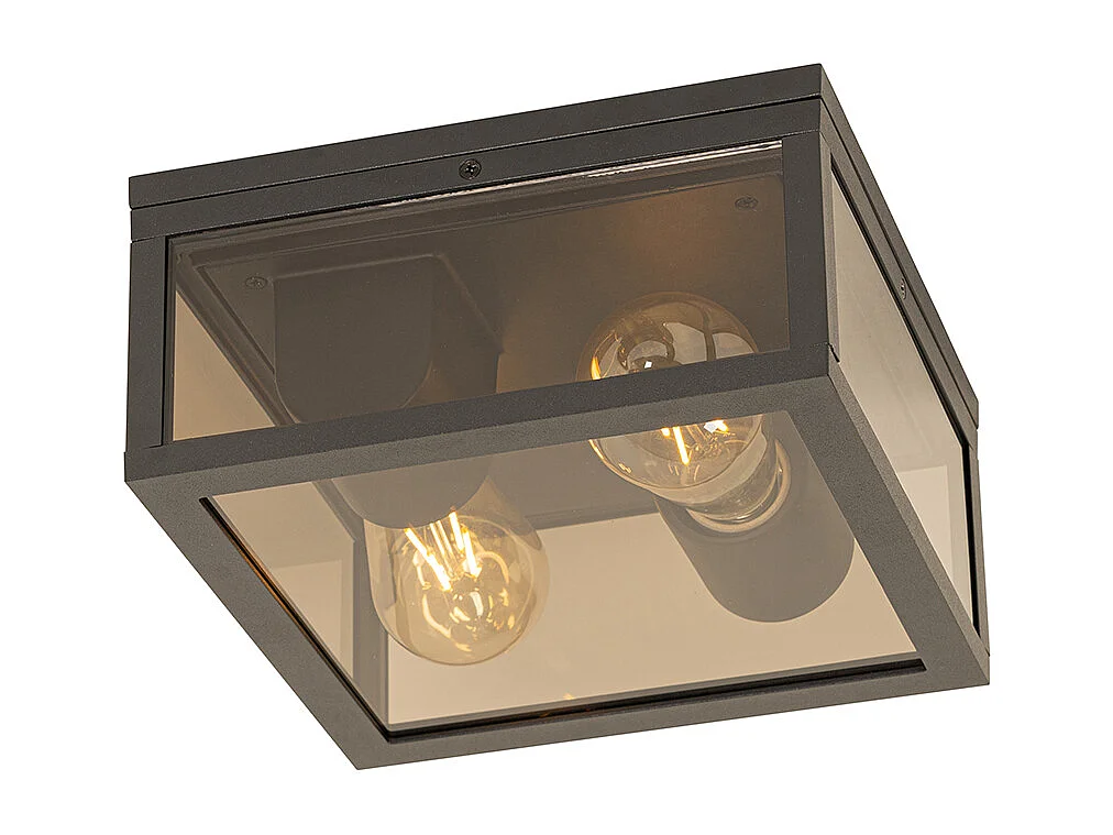 Plafonnier noir avec verre fumé 2 lumières IP44 - Charlois