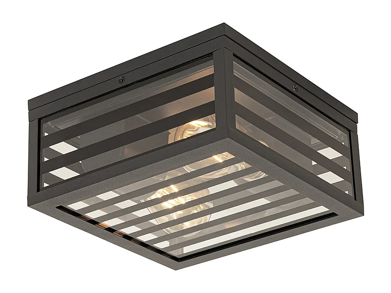 Plafonnier d'extérieur moderne verre noir 2 lumières IP44 - Reims