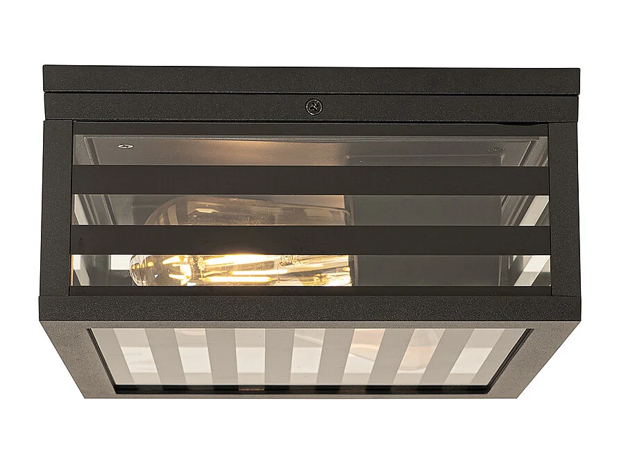 Plafonnier d'extérieur moderne verre noir 2 lumières IP44 - Reims