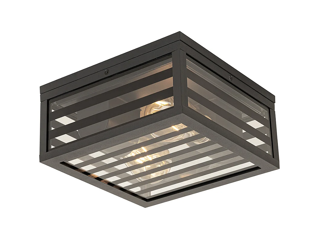 Plafonnier d'extérieur moderne verre noir 2 lumières IP44 - Reims