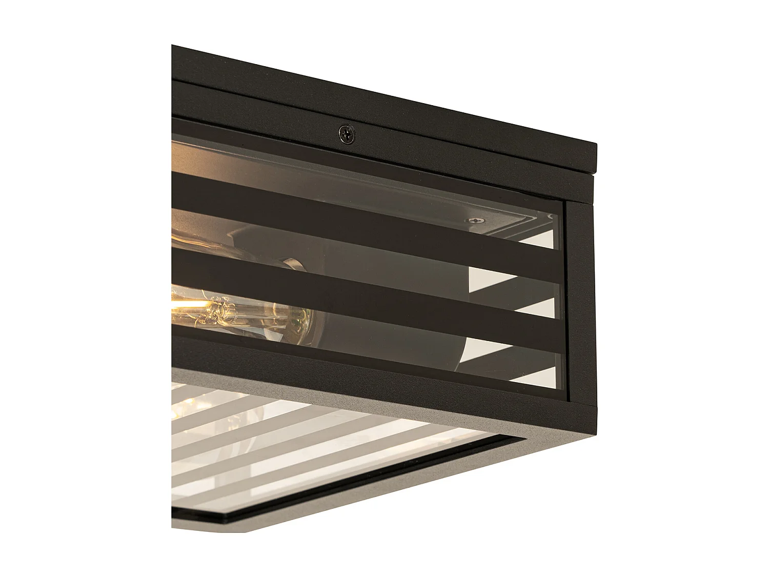 Plafonnier extérieur moderne en verre noir 2 lumières IP44 - Reims