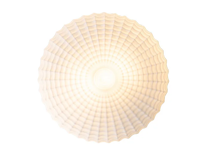 Plafonnier classique noir avec verre opale 35 cm IP44 - Nohmi