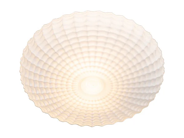 Plafonnier classique noir avec verre opale 35 cm IP44 - Nohmi