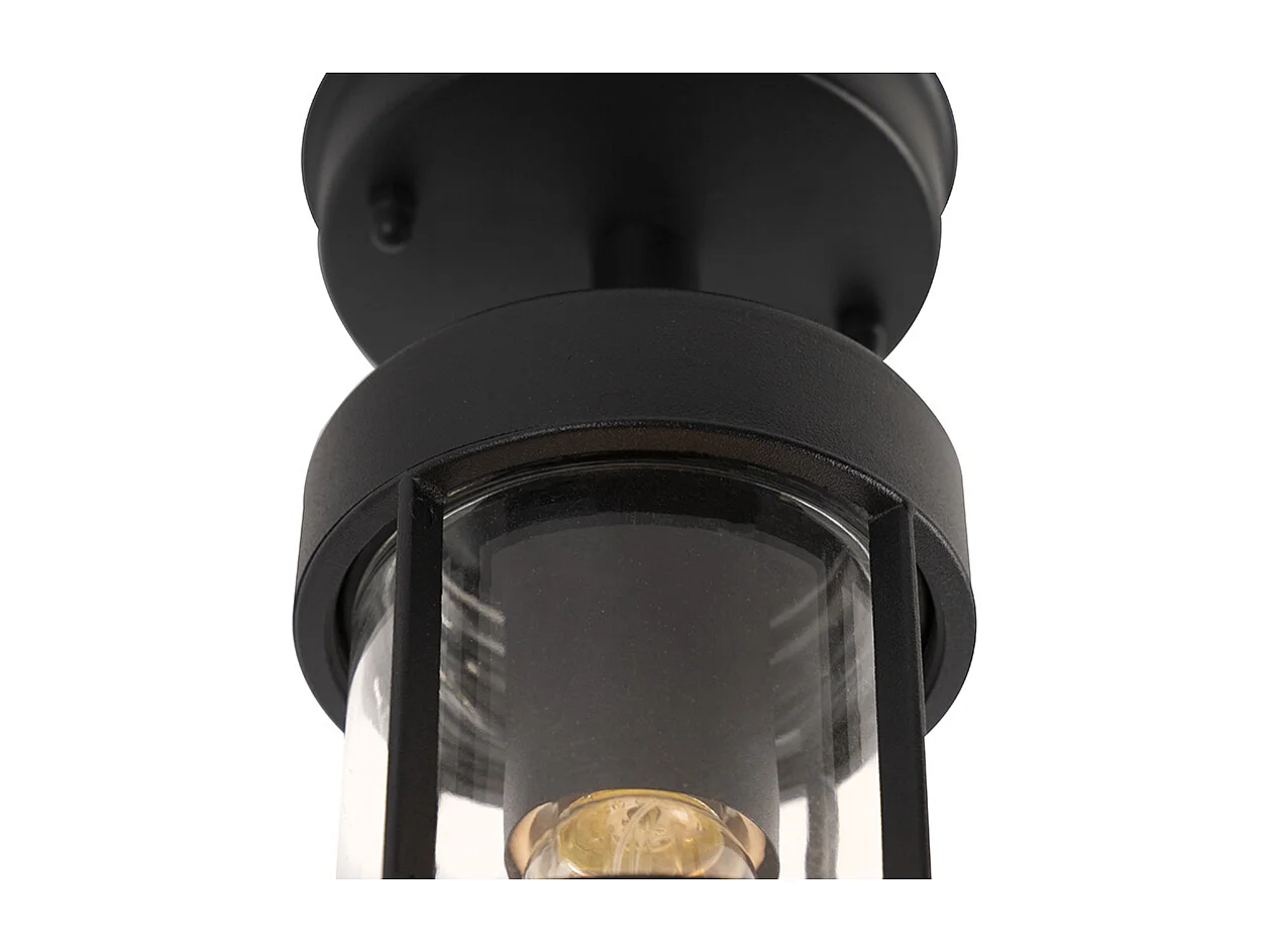 Plafonnier d'extérieur rustique noir avec verre IP44 - Elza