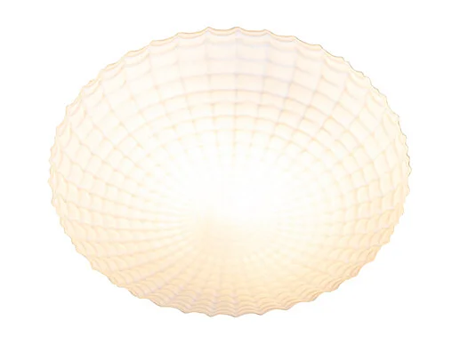 Plafonnier classique noir avec verre opale 23 cm IP44 - Nohmi