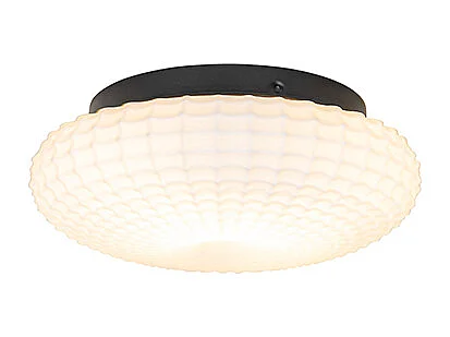 Plafonnier classique noir avec verre opale 23 cm IP44 - Nohmi