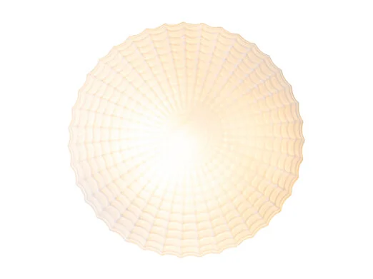 Plafonnier classique noir avec verre opale 23 cm IP44 - Nohmi