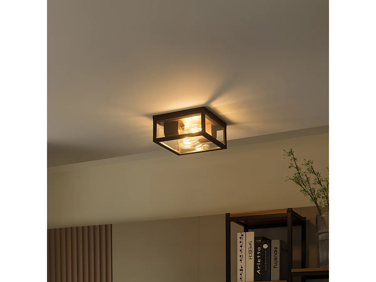 Plafonnier industriel brun rouille IP44 2 lumières - Charlois