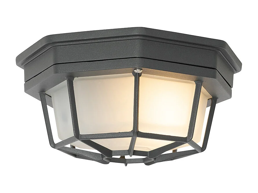 Plafonnier rural gris foncé IP44 - Bri S