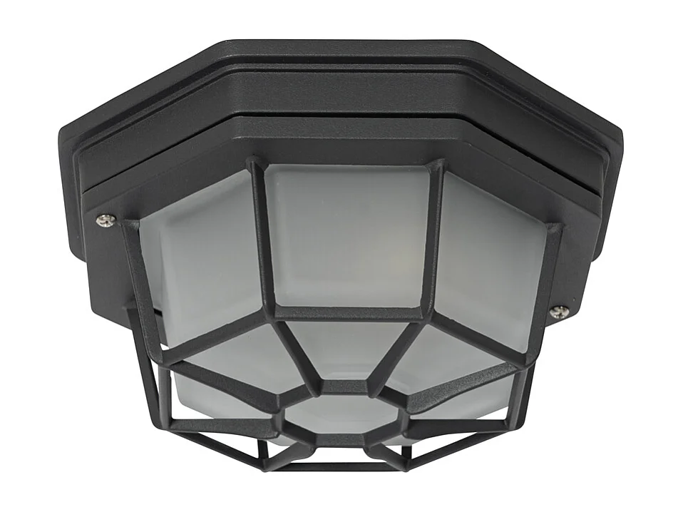 Plafonnier rural gris foncé IP44 - Bri S