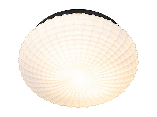 Plafonnier classique noir avec verre opale 30 cm IP44 - Nohmi