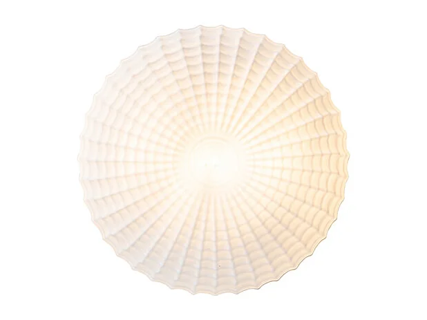 Plafonnier classique noir avec verre opale 30 cm IP44 - Nohmi