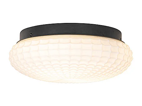 Plafonnier classique noir avec verre opale 30 cm IP44 - Nohmi