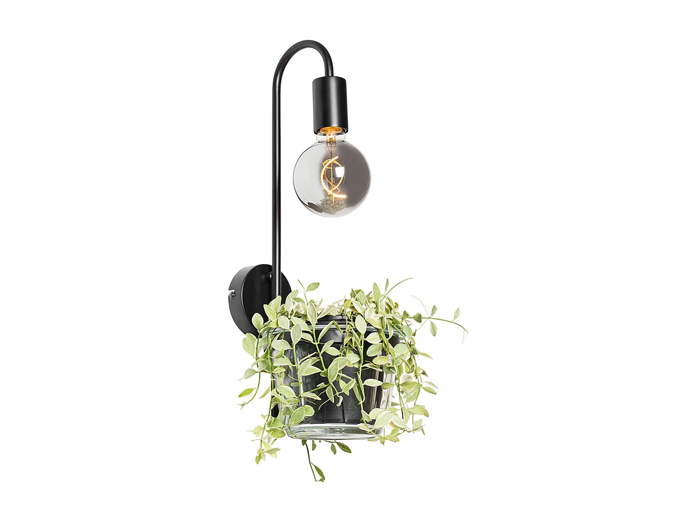 Applique moderne noire avec verre - Roslini