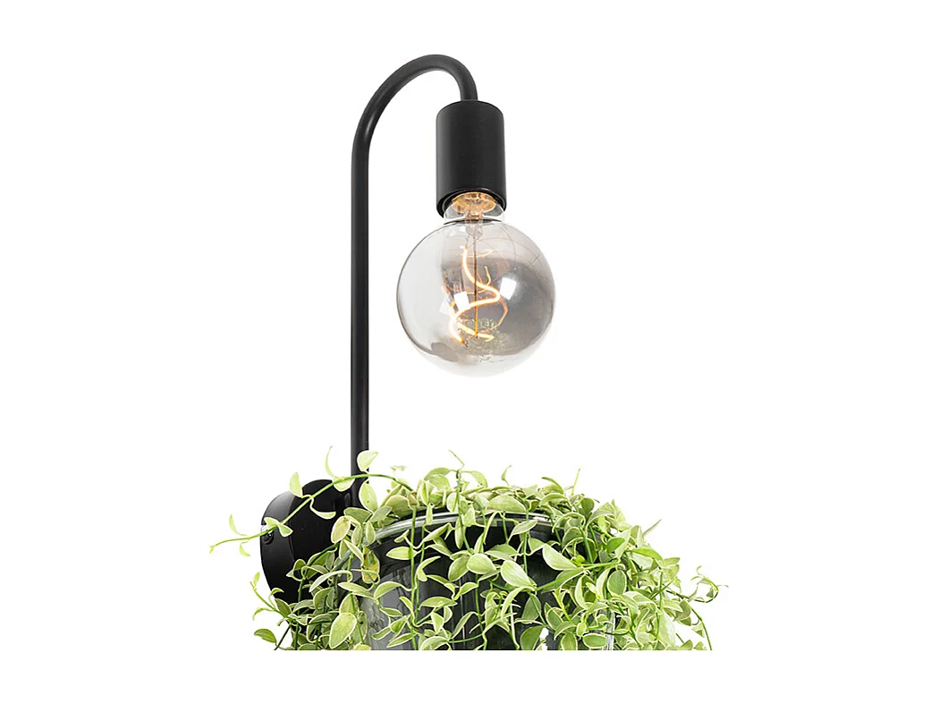 Applique moderne noire avec verre - Roslini