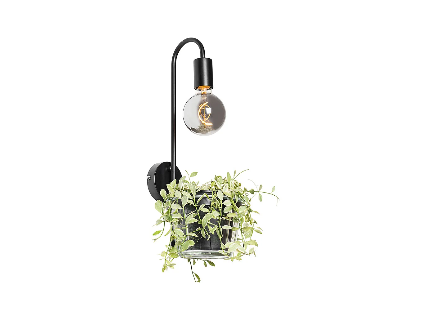 Applique moderne noire avec verre - Roslini