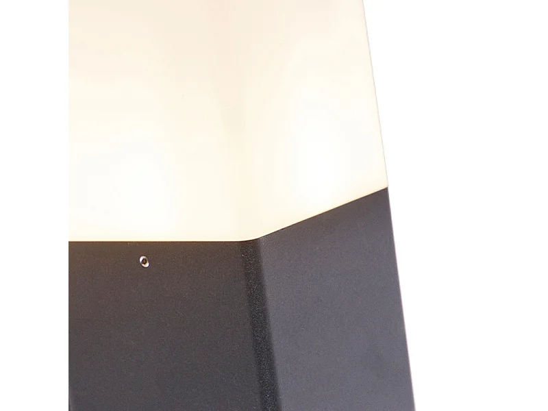 Applique d'extérieur noire avec abat-jour blanc opale IP44 - Danemark