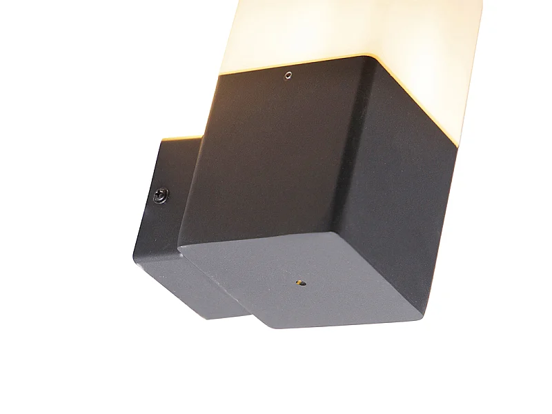 Applique d'extérieur noire avec abat-jour blanc opale IP44 - Danemark