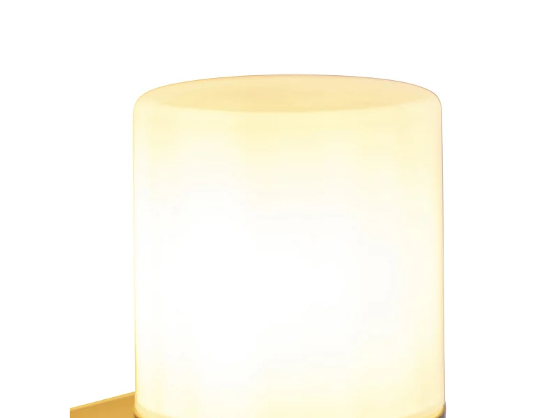 Applique d'extérieur moderne noire avec abat-jour opale IP44 - Odense