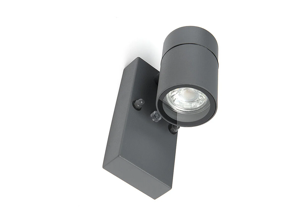 Applique murale extérieure anthracite IP44 avec capteur crépusculaire - Solo