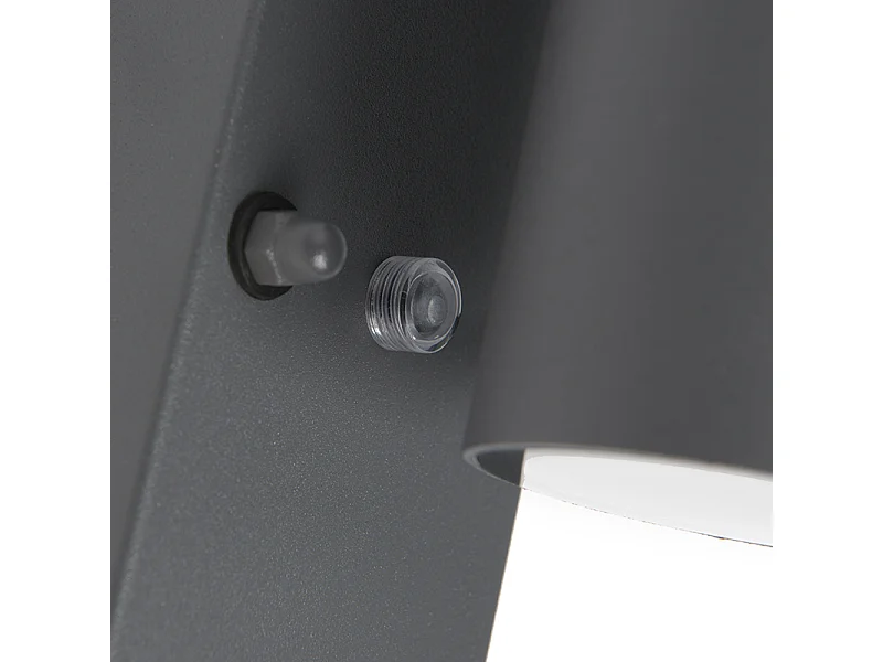 Applique murale extérieure anthracite IP44 avec capteur crépusculaire - Solo