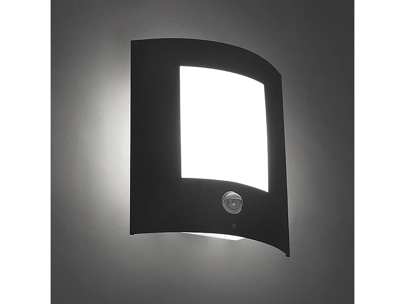 Applique d'extérieur anthracite avec détecteur de mouvement IP44 - Emmerald 1
