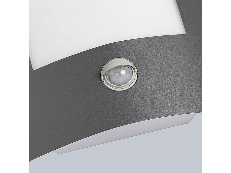 Applique murale extérieure anthracite avec détecteur de mouvement IP44 - Emmerald 1
